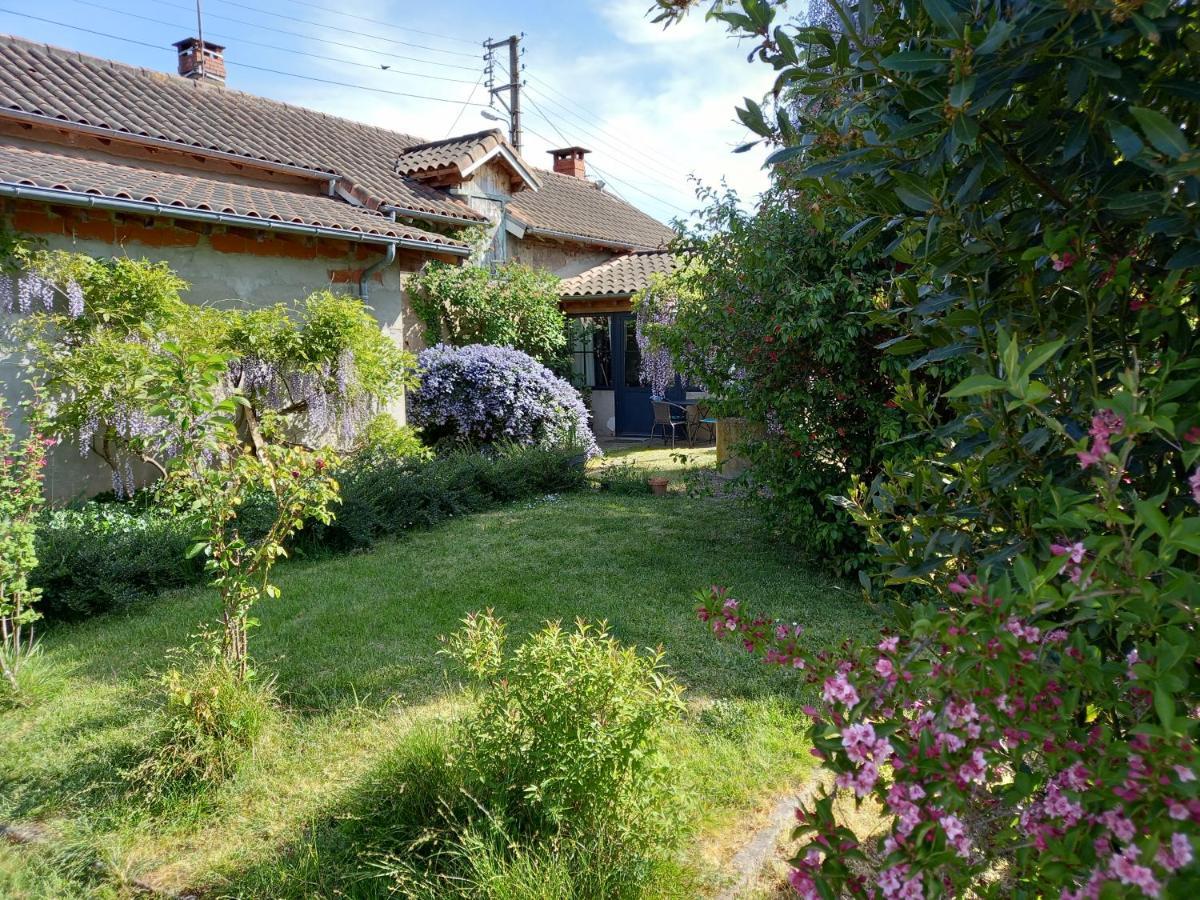 La Maison Molieres Montauban Exterior foto